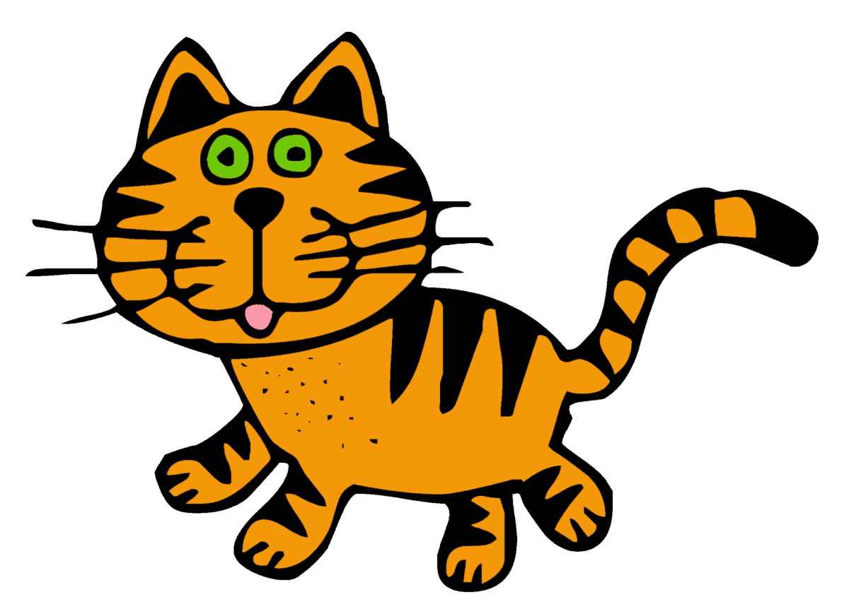 Pisica